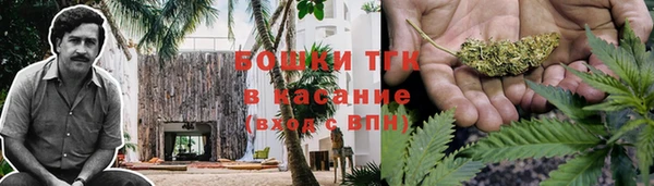 стаф Верхний Тагил